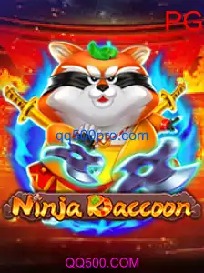 NinjaRaccoon